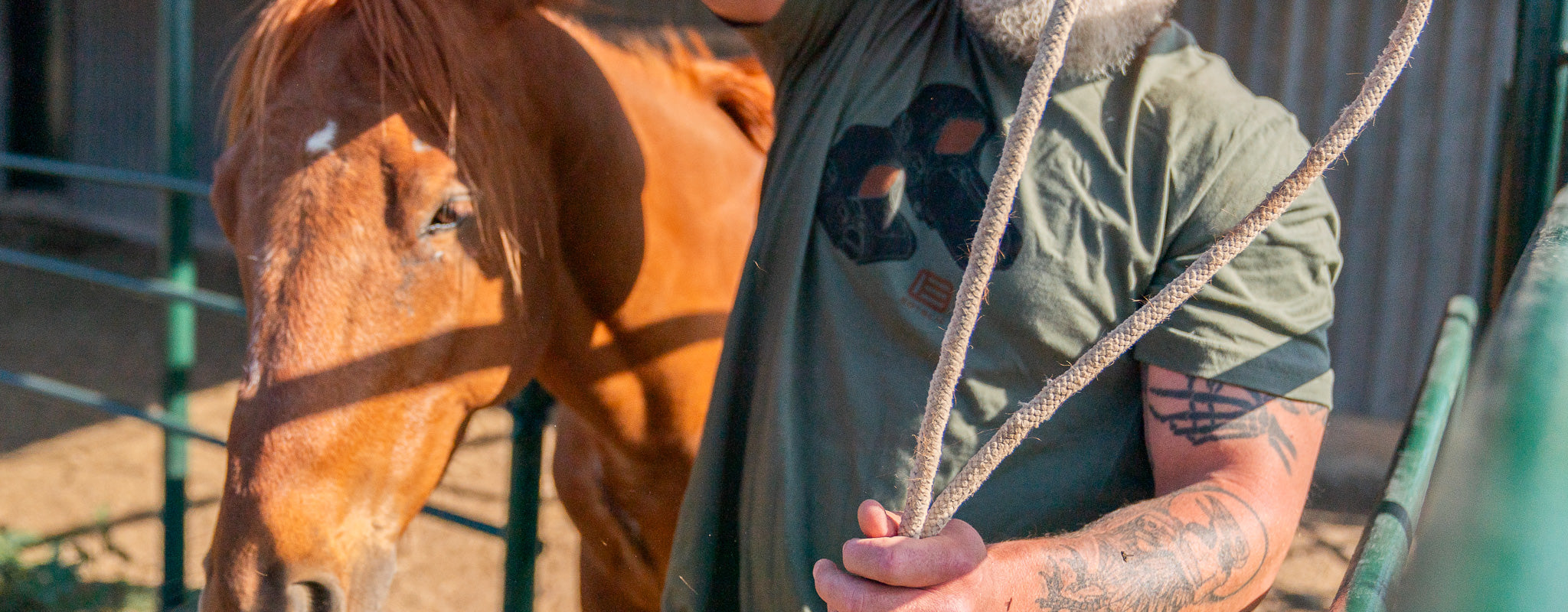 Person wearing EOTECH logo t-shirt holding a rope with a horse in the background