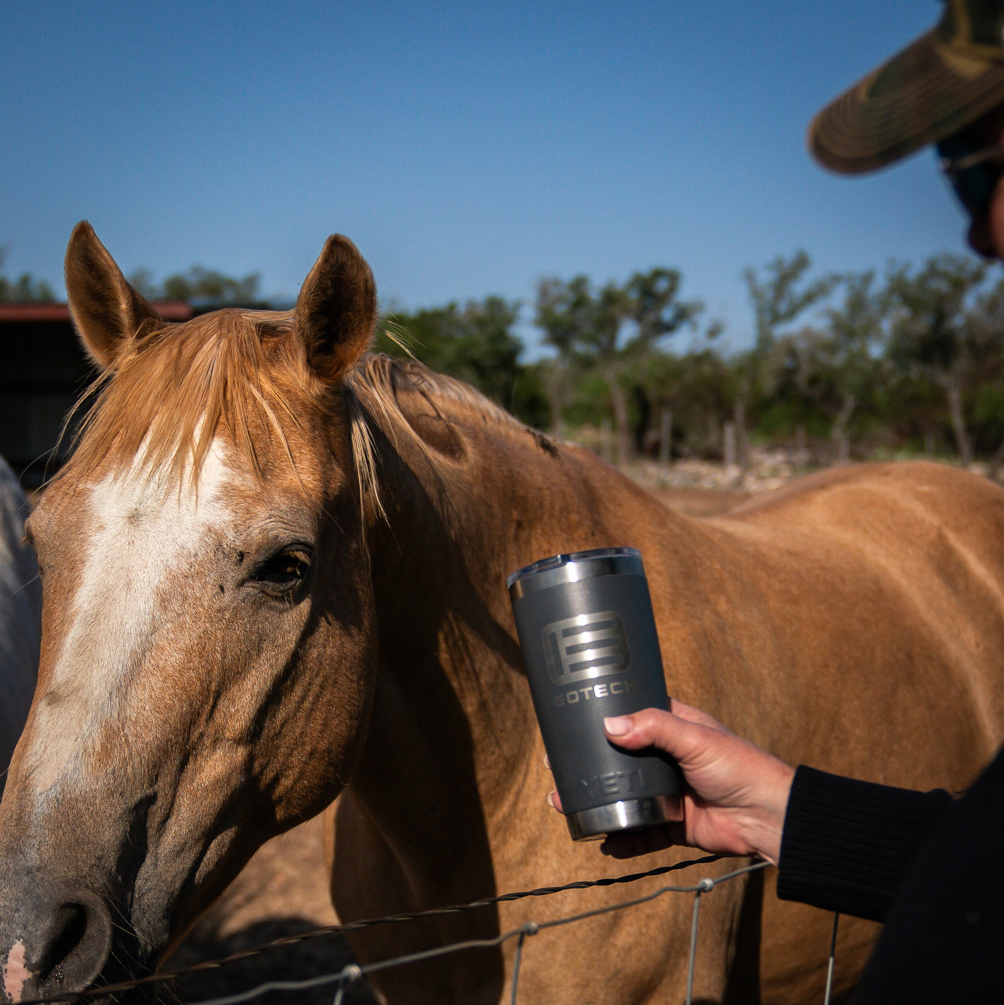 Person holding a EOTECH tumbler next to a horse outdoors